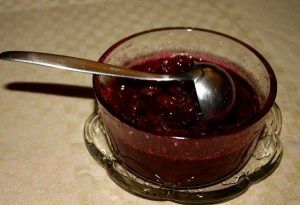 Molho de Mirtilo com o Thermomix