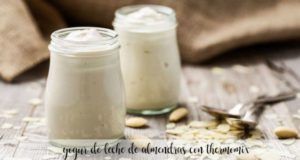 Iogurte com leite de amêndoa com Thermomix
