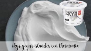 Skyr Iogurte islandês com thermomix