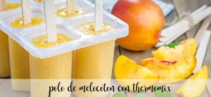 Picolé de pêssego com Thermomix