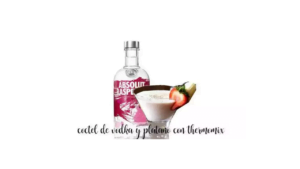 Cocktail de vodka e banana com termomix