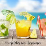 25 coquetéis com termomix