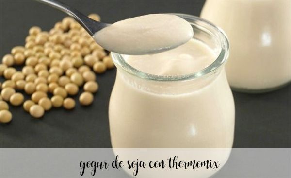 iogurte de soja com termomix