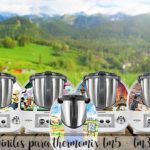 Vinis Thermomix TM 5