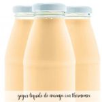 iogurte líquido de laranja com thermomix