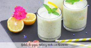 Smoothie de iogurte, melão e menta com thermomix