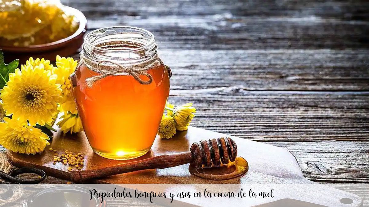 Propriedades, benefícios e usos na cozinha do mel