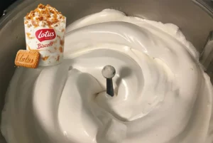 Gelado MCFlurry com biscoitos Lotus na Thermomix – Novidade do McDonald’s